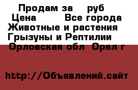 Продам за 50 руб. › Цена ­ 50 - Все города Животные и растения » Грызуны и Рептилии   . Орловская обл.,Орел г.